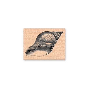 SEA SHELL Rubber Stamp~Sea Life~Conch Shell~Vintage Nautical Shell Illustration~DIY Card Making~Wood Mounted Rubber Stamp (45-14)