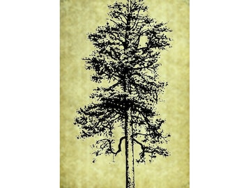 PINE TREE Rubber Stamp~Unmounted Cling Stamp~Landscape Stamp~Rustic Forest Evergreen~Nature Illustration~Mountain Pine (49-13)