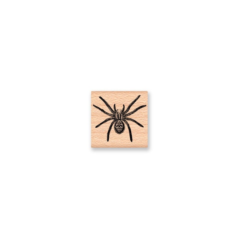 SPIDER Rubber StampBLACK WIDOWHalloween StampsHalloween DecorParty FavorsBugInsectCreepySuppliesMountainside Crafts 34-26 image 1