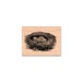 BIRD NEST Rubber Stamp~Two Styles~Birds Nests~Robin Nest~Bird Eggs~Baby Birds~Spring Nest~wood mounted ( sm 30-11)(lg 36-12) 