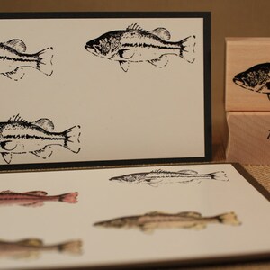 May include: Four black and white images of bass fish on white card stock. The images are printed on a card with a black border. Below the card is a brown card with three coloured images of fish. The card also has the text "Mountainside Crafts" printed on it.