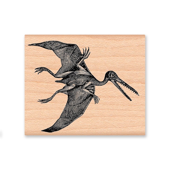 Pterodactyl-dinosaur-large or Small Wood Block Mounted Rubber