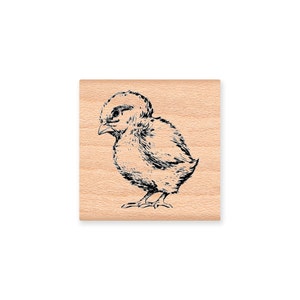 Tampon en caoutchouc BÉBÉ POUSSIN ~ Tampon bébé poulet ~ Pâques printemps ~ Tampon en caoutchouc pour montage sur bois, artisanat à flanc de montagne (20-30)