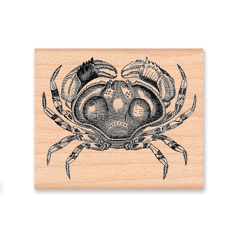May include: A black and white illustration of a crab on a light brown wooden background.