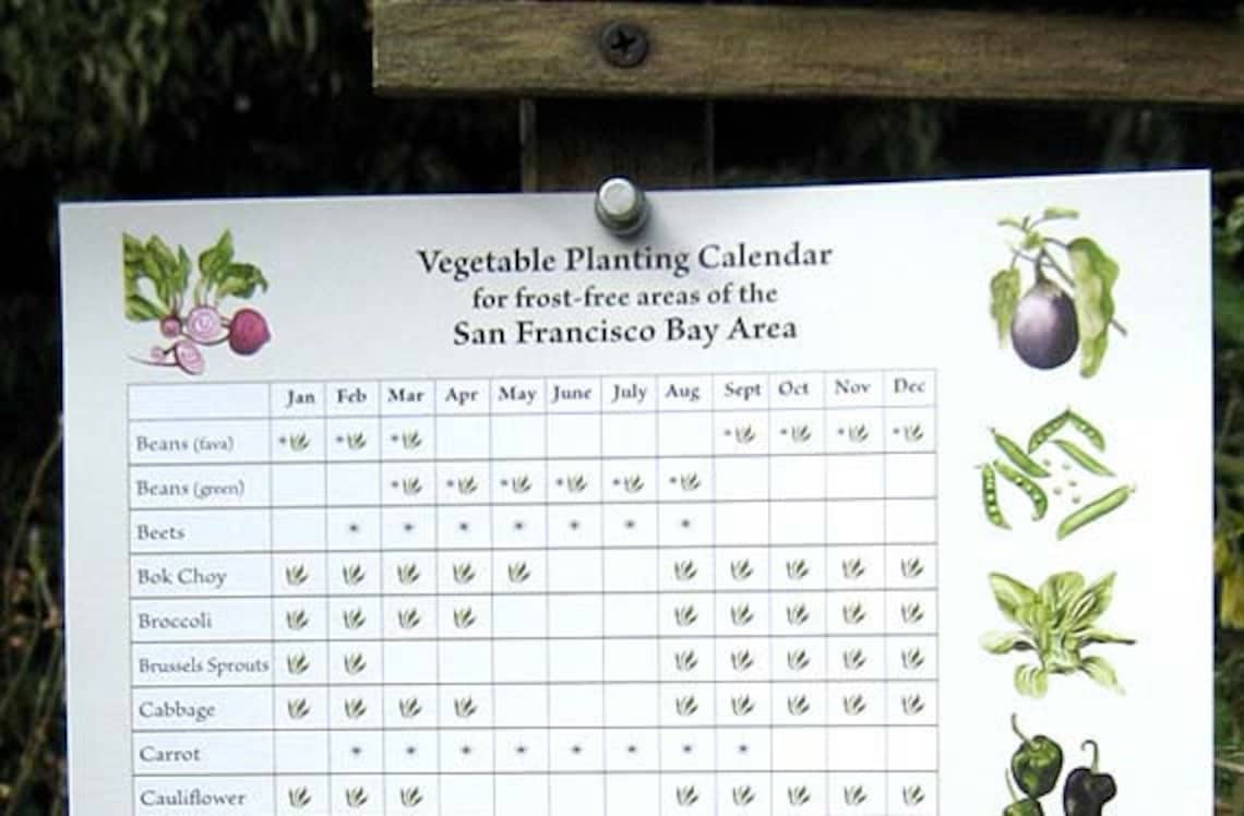 Vegetable Planting Calendar for San Francisco Bay Area Etsy