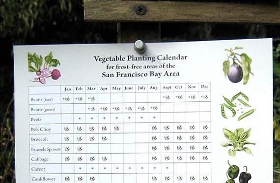 vegetable planting calendar for san francisco bay area etsy