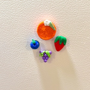 Fruit medley magnet pack: Fruit themed decor, home accessories
