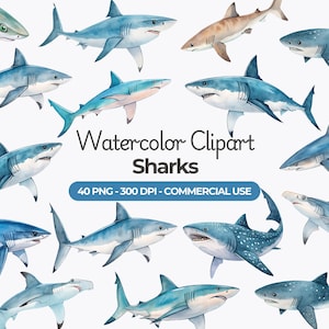 Watercolor Sharks Clipart, Shark PNG Bundle, Great White Shark, Hammerhead Shark, Tiger Shark, Bull Shark, Blue Shark, Commercial Use
