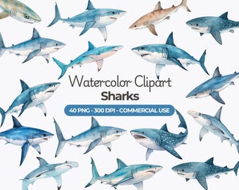 Watercolor Shark Clipart, PNG Bundle, 40 Shark Species (Commercial Use)