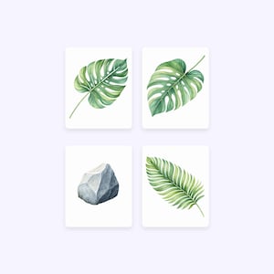 May include: Four watercolor illustrations on white backgrounds. The top left image shows a green monstera leaf. The top right image shows a green monstera leaf. The bottom left image shows a gray rock. The bottom right image shows a green palm leaf.