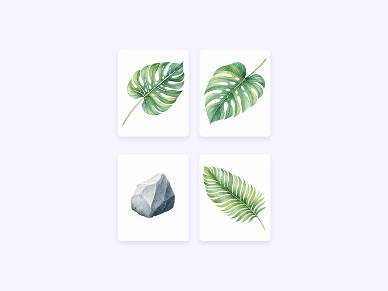 May include: Four watercolor illustrations on white backgrounds. The top left image shows a green monstera leaf. The top right image shows a green monstera leaf. The bottom left image shows a gray rock. The bottom right image shows a green palm leaf.