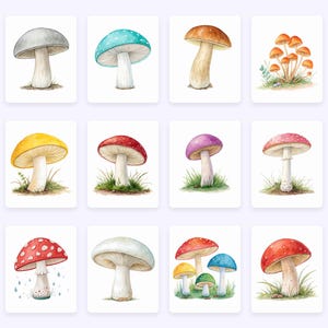 Watercolor Mushrooms Clipart, Woodland PNG (Commercial Use) image 3