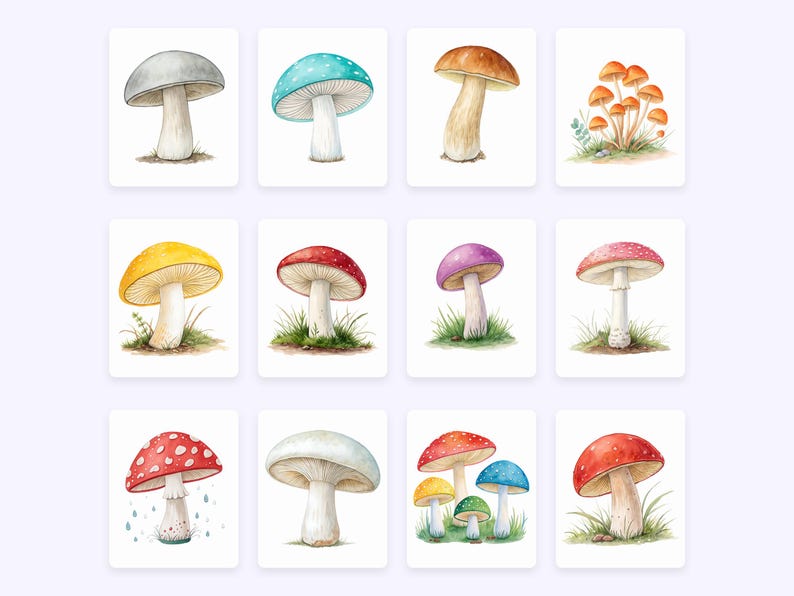 Watercolor Mushrooms Clipart, Woodland PNG (Commercial Use) image 3