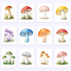Watercolor Mushrooms Clipart, Woodland PNG (Commercial Use) image 4