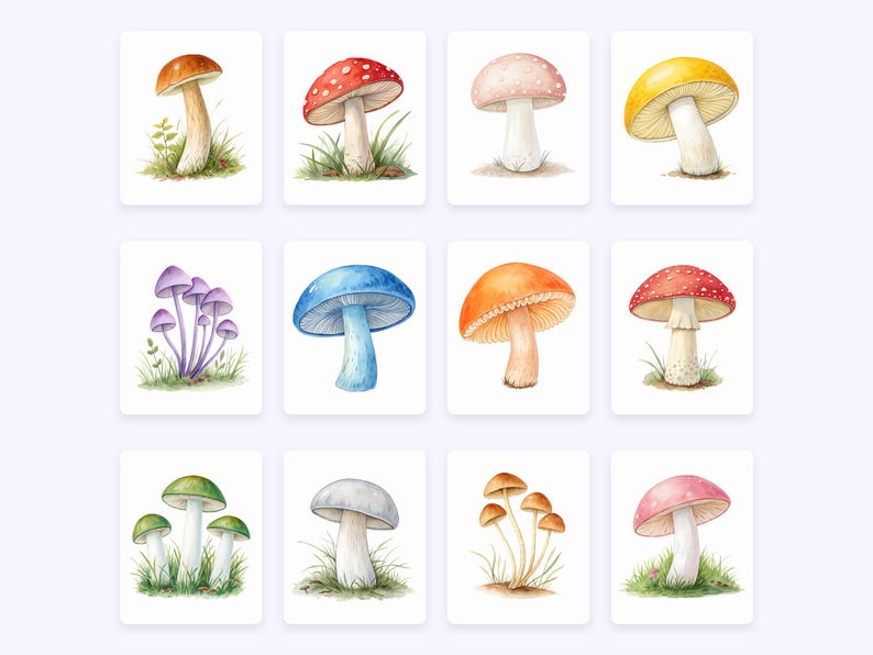 Watercolor Mushrooms Clipart, Woodland PNG (Commercial Use) image 4