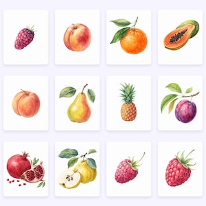 K&ouml;nnte beinhalten: Aquarell-Illustrationen von verschiedenen Fr&uuml;chten und Beeren, darunter ein Pfirsich, eine Birne, eine Pflaume, eine Ananas, eine Papaya, ein Granatapfel, eine Himbeere und eine Brombeere.