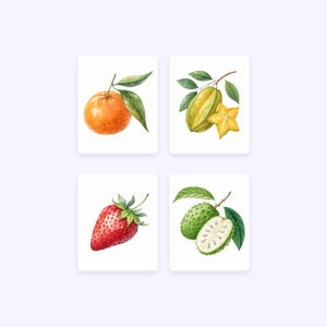 K&ouml;nnte beinhalten: Vier Aquarell-Illustrationen von Fr&uuml;chten auf wei&szlig;em Hintergrund. Eine rote Erdbeere, eine gr&uuml;ne Soursop, eine gelbe Sternfrucht und eine orangefarbene Mandarine.