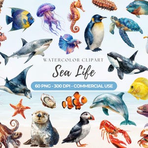 Könnte beinhalten: Aquarell-Clipart mit verschiedenen Meeresbewohnern, darunter ein Hai, ein Delfin und ein Seepferdchen. Das Bild enthält den Text "Sea Life" und "60 PNG - 300 DPI - COMMERCIAL USE". Die Illustrationen sind farbenfroh und detailliert, mit einem Strandhintergrund.