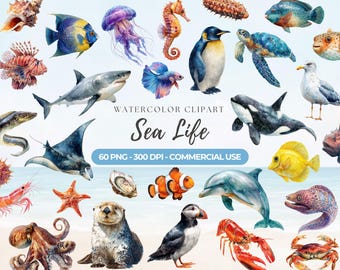 May include: Watercolor clipart featuring various sea creatures, including a shark, dolphin, and seahorse. The image includes the text "Sea Life" and "60 PNG - 300 DPI - COMMERCIAL USE". The illustrations are colorful and detailed, with a beach background.