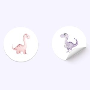 May include: Two round stickers featuring cartoon dinosaurs. The first sticker has a pink dinosaur with a long neck and a spotted pattern. The second sticker has a purple dinosaur with a short neck and a spotted pattern.