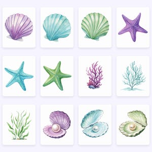 Pu&ograve; includere: Illustrazioni ad acquerello di vari elementi della vita marina, tra cui conchiglie viola, blu e verdi, stelle marine viola, blu e verdi, coralli, alghe e perle in conchiglie aperte. Le immagini sono su sfondi bianchi.