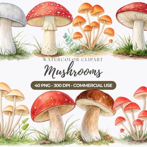 Watercolor Mushrooms Clipart, Woodland PNG (Commercial Use)