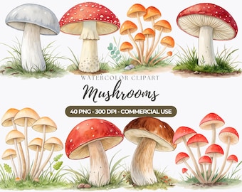 Clipart aquarel paddestoelen, bos, png (commercieel gebruik)