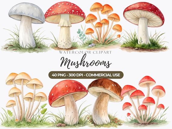 Watercolor Mushrooms Clipart, Woodland Mushroom PNG, Magic Mushrooms, Toadstool, Red Mushrooms, Commercial Use