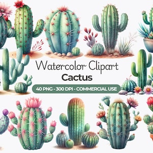 Clipart cactus aquarelle, cactus PNG, cactus floral, plantes du désert, impression de cactus, succulentes, usage Commercial