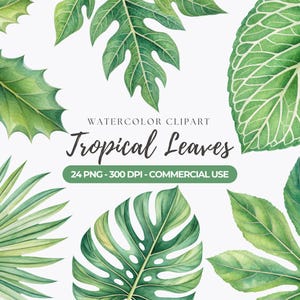 Watercolor Tropical Leaves Clipart, Greenery PNG, Foliage, Monstera Leaf, Palm Leaf, Tropical Greens, Tropical Leaf, Commercial Use