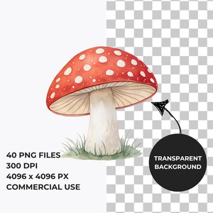 Watercolor Mushrooms Clipart, Woodland PNG (Commercial Use) image 2
