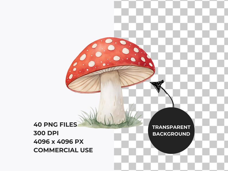 Watercolor Mushrooms Clipart, Woodland PNG (Commercial Use) image 2