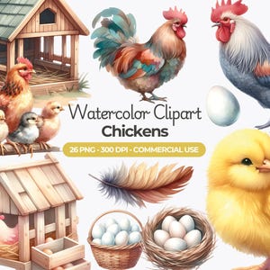 Imágenes prediseñadas de pollos de acuarela, animales de granja PNG, granero, pollo, canasta de huevos, gallo, gallinas y polluelos, uso comercial