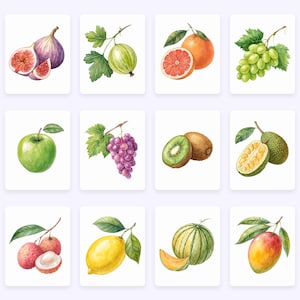 K&ouml;nnte beinhalten: Aquarell-Illustration verschiedener Fr&uuml;chte und Gem&uuml;se, darunter eine Feige, Stachelbeere, Grapefruit, Trauben, Apfel, Kiwi, Jackfrucht, Litschi, Zitrone und Cantaloupe.