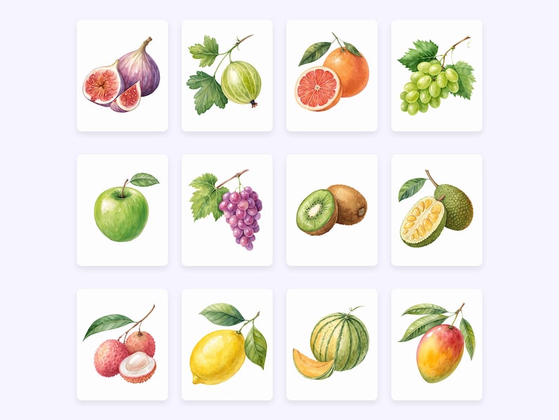 K&ouml;nnte beinhalten: Aquarell-Illustration verschiedener Fr&uuml;chte und Gem&uuml;se, darunter eine Feige, Stachelbeere, Grapefruit, Trauben, Apfel, Kiwi, Jackfrucht, Litschi, Zitrone und Cantaloupe.
