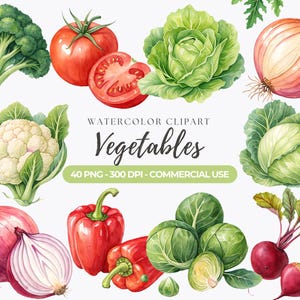 Clipart de légumes aquarelle, PNG d'aliments sains, clipart végétarien, légumes de la ferme, tomate, brocoli, maïs, oignon, usage commercial