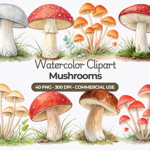Clipart di funghi ad acquerello, PNG di funghi di bosco, funghi magici, fungo velenoso, funghi rossi, uso commerciale