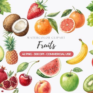 Clipart de frutas en acuarela, paquete de imágenes PNG de frutas, sublimación de frutas: manzana, plátano, fresa, sandía, uso comercial