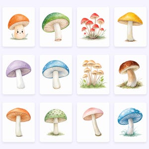 Watercolor Mushrooms Clipart, Woodland PNG (Commercial Use) image 5