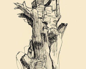 Tree with bark, 7x5” print of original pen and ink drawing, botanical art