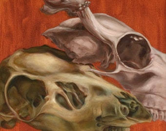 Deer and coyote skulls, 7.5x7.5” print of original oil painting, botanical art