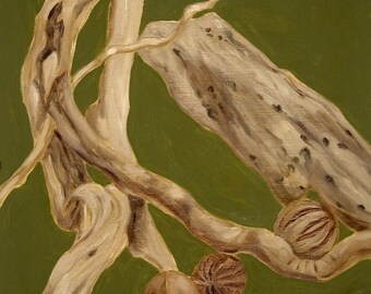 Driftwood from ocean, 7.5x7.5” print of original oil painting, botanical art