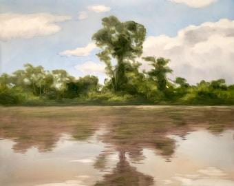 Pintura al óleo original, arte del río, pintura de paisaje, arte de la naturaleza, 8,25 x 12,1", arte de la pared tropical, pintura de árboles, obras de arte de nubes