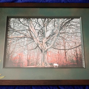 May include: A rectangular framed print featuring a large, bare-branched tree in a forest setting with reddish-toned foliage. The dark brown frame includes a dark green mount with a decorative gold-coloured fern leaf accent in the bottom corner.