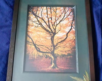 La profundidad del otoño