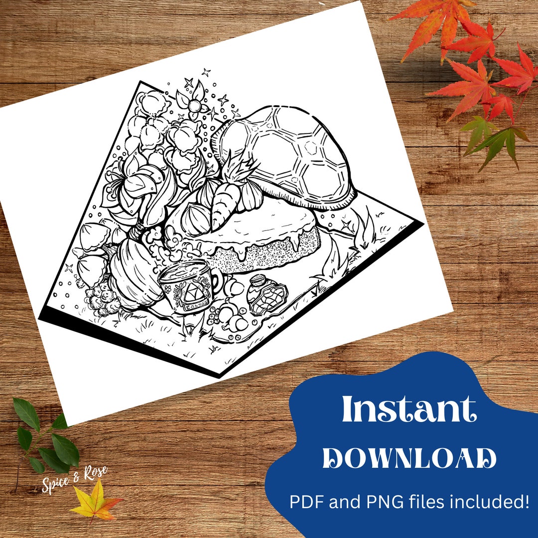 Legend of Zelda Inspired Coloring Page - Etsy