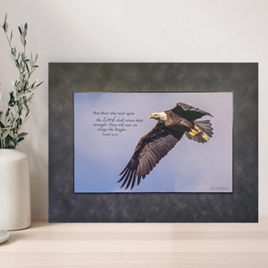 Aquila in volo Isaia 40 Aquila calva americana Fauna selvatica Paesaggio Natura Fotografia Decorazione della casa Arte murale Decorazione murale Fotografia Stampa