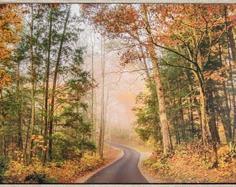 Fall Foliage Landscape Photography Print - Autumn Trees Along Path 24x36