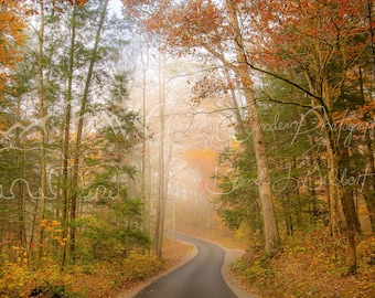 Stampa fotografica di paesaggi autunnali: Sentiero autunnale (download digitale)