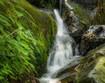 Waterfall Moss Landscape Photo: Vibrant Greenery Nature Print (Digital Download)